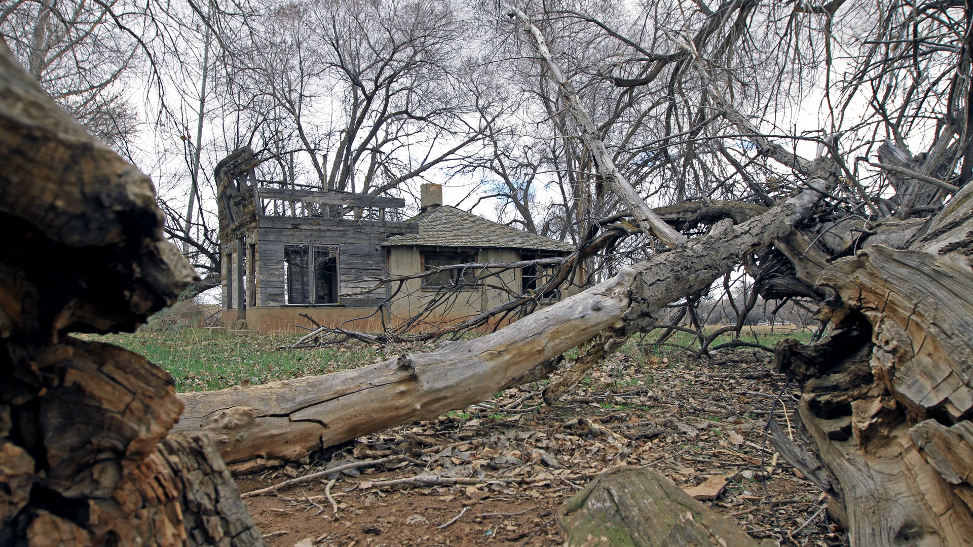 skin walker ranch