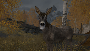 skyrim donkey