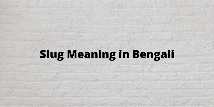 slug meaning in bengali