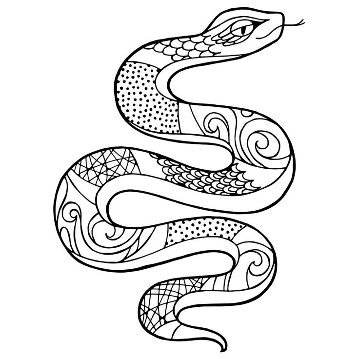 snake colouring page