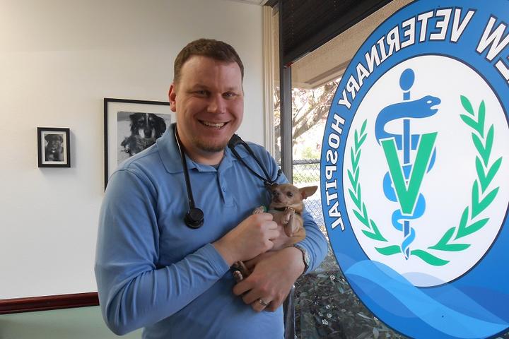 soundview veterinary hospital