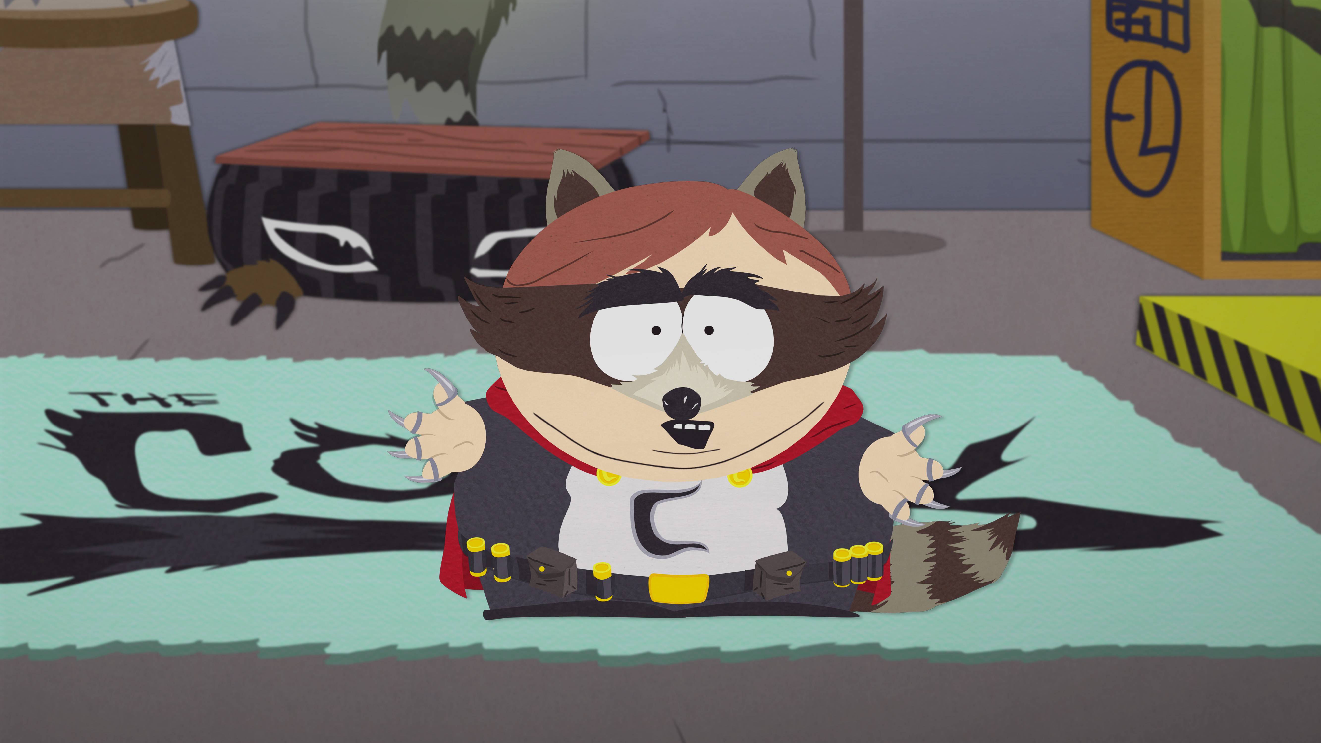 south park coon series