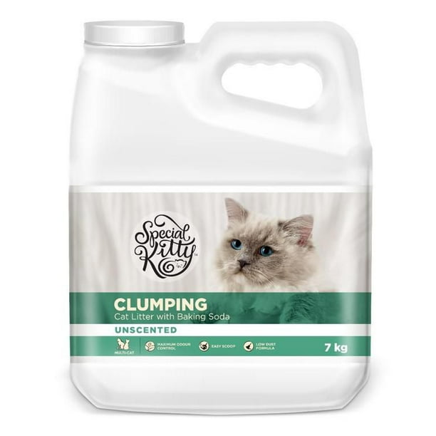 special kitty cat litter