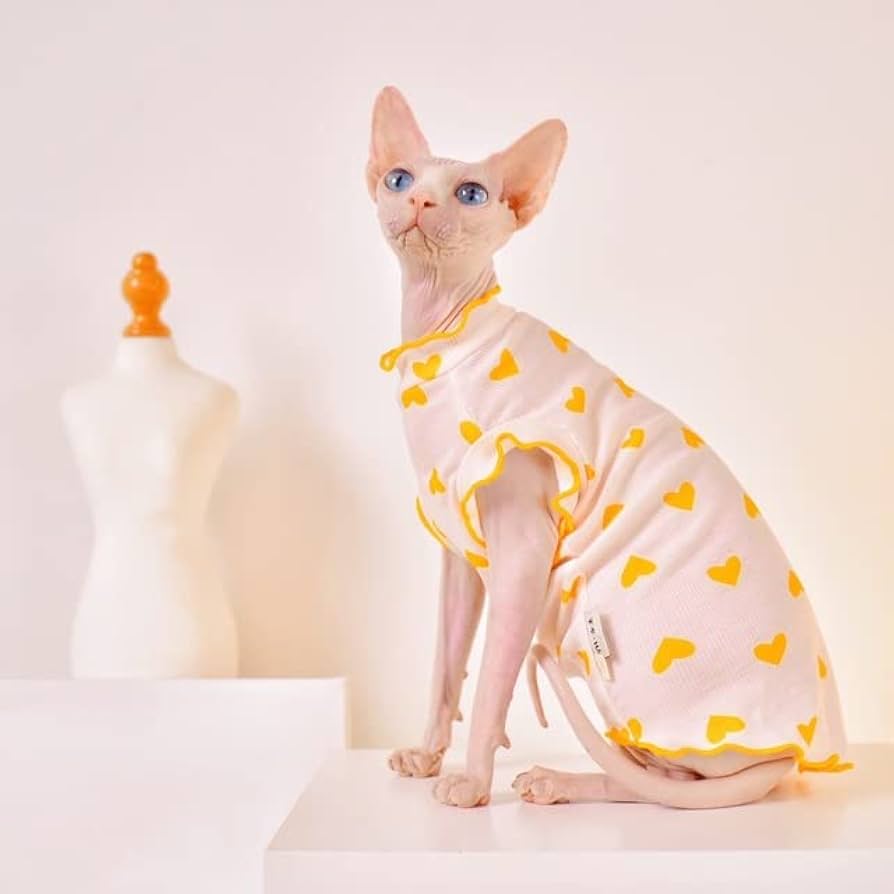 sphynx wear