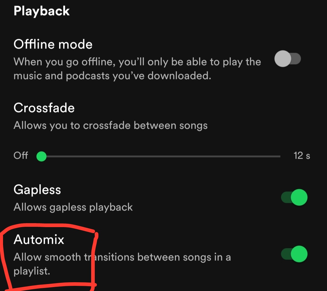 spotify automix