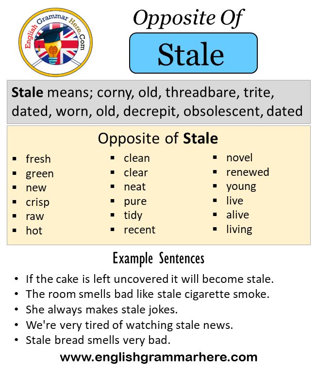 stale antonym