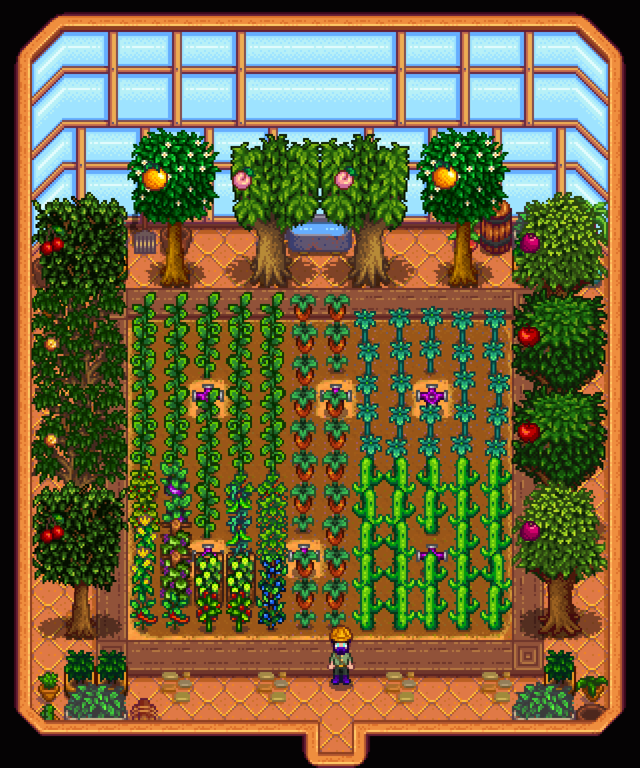 stardew greenhouse