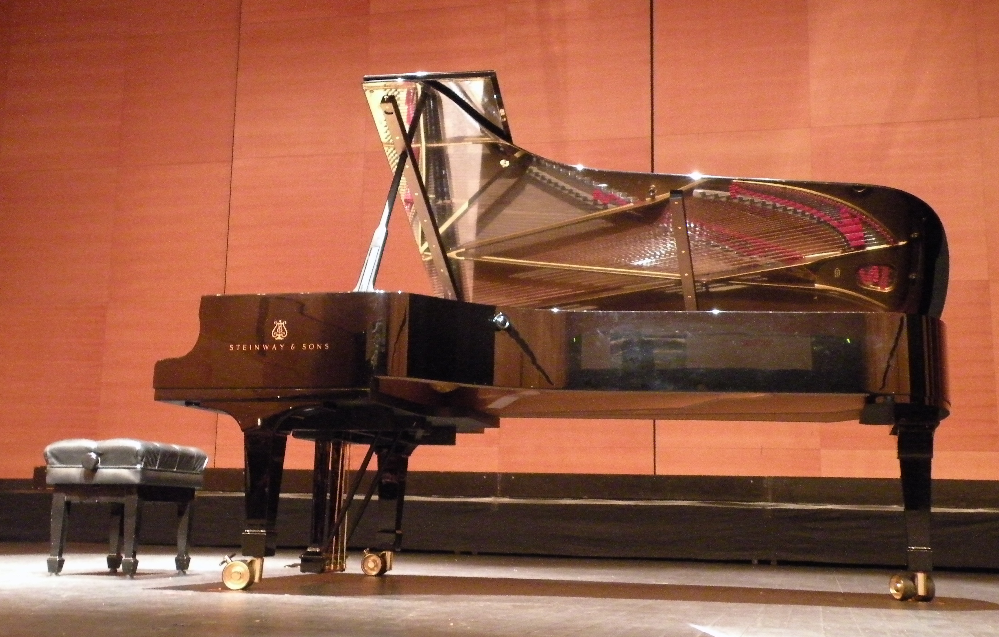 steinway and sons model d