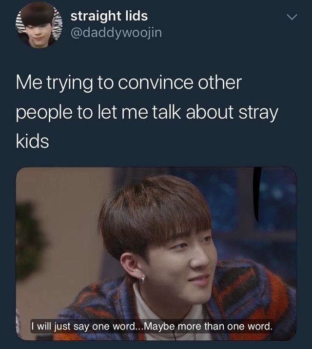 straykids memes