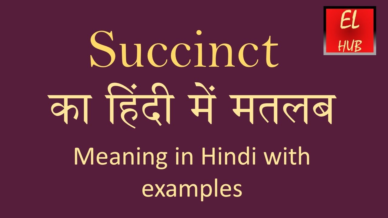 succinct meaning in hindi