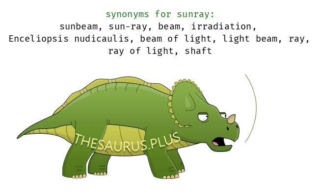 sun rays synonyms