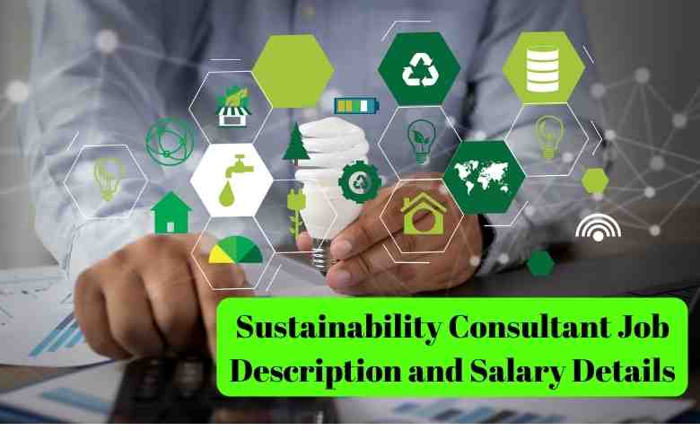 sustainability consultant salary