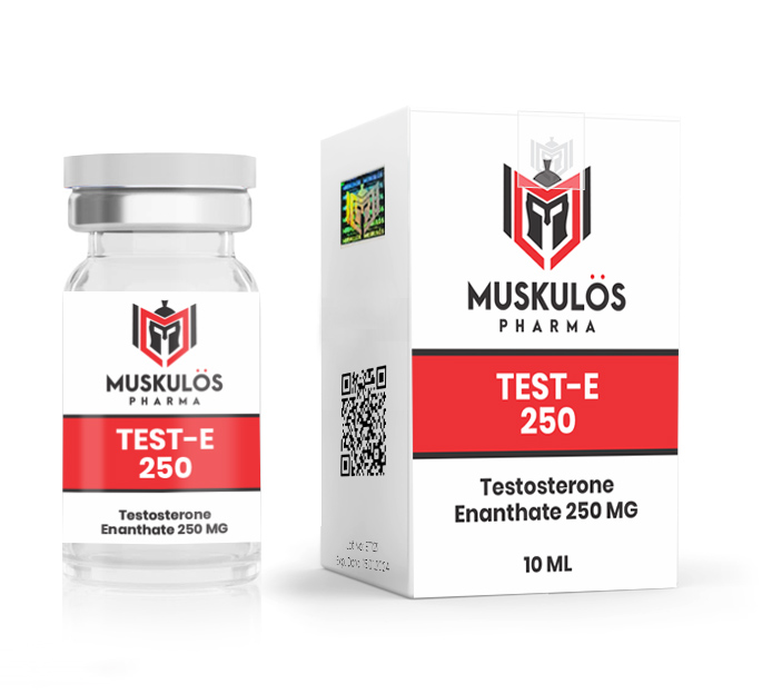 sustanon 250 vs test e