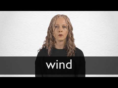 synonyms for wind