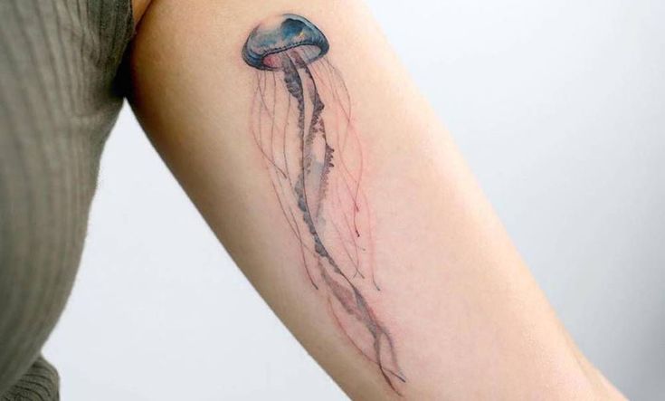 tatuaje medusa animal