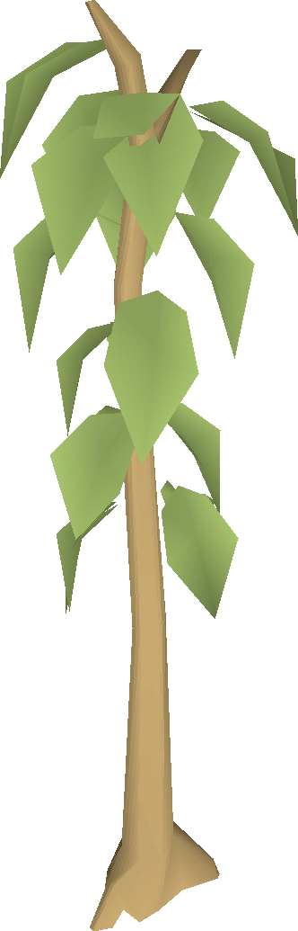 teak trees osrs