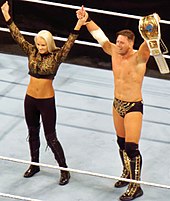 the miz wiki