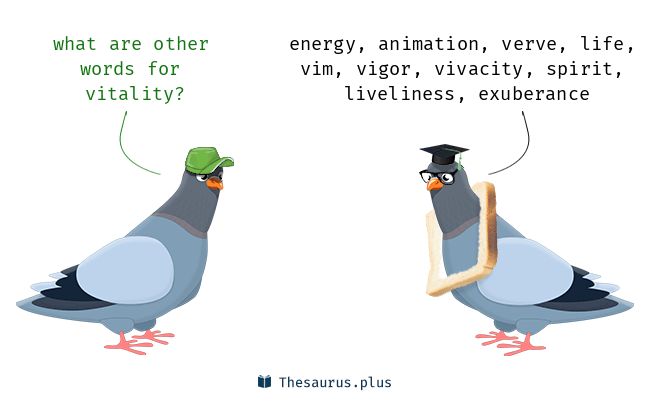 thesaurus vitality