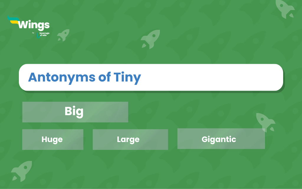 tiny antonyms in english