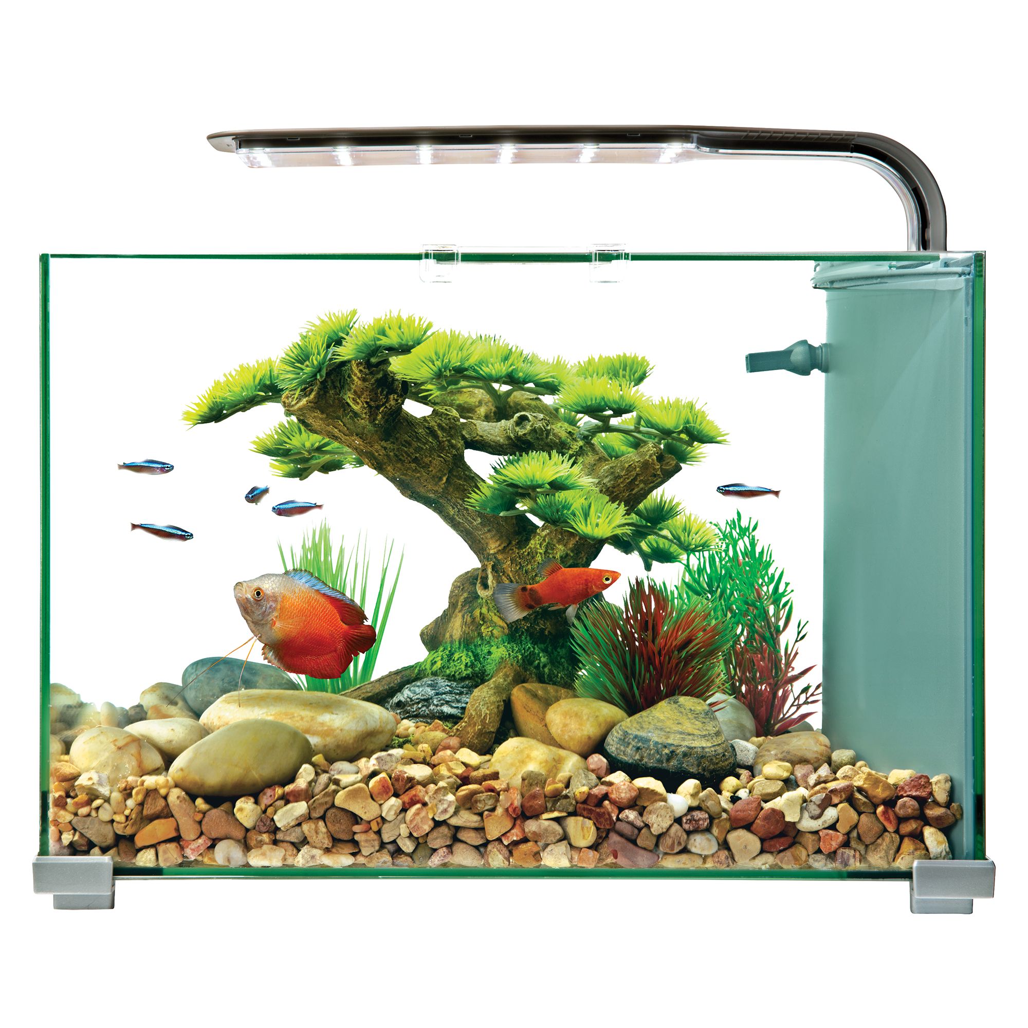 topfin aquarium