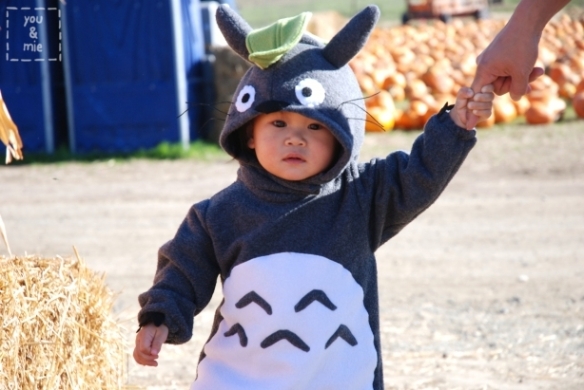 totoro costume