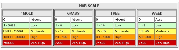 tree pollen count