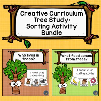 tree study for preschool creative curriculum