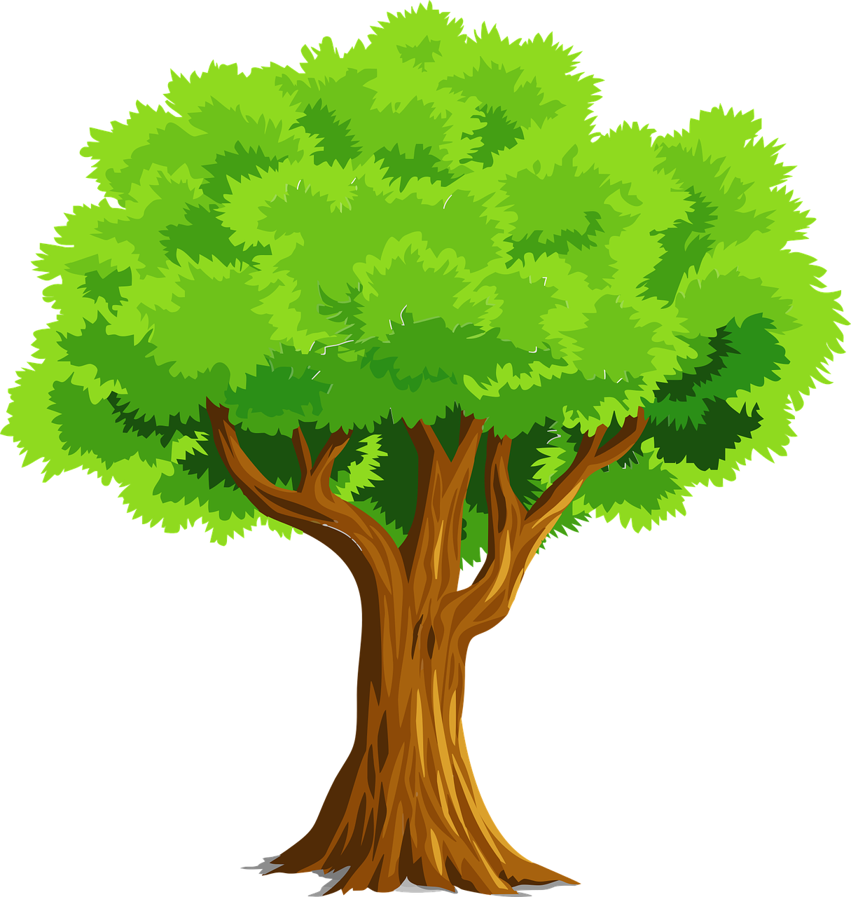 trees clipart