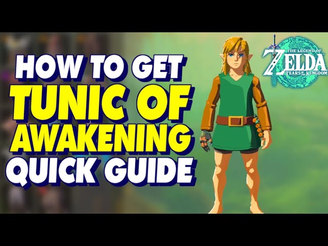 tunic of awakening totk