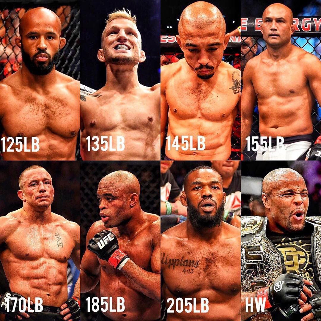 ufc weight classes