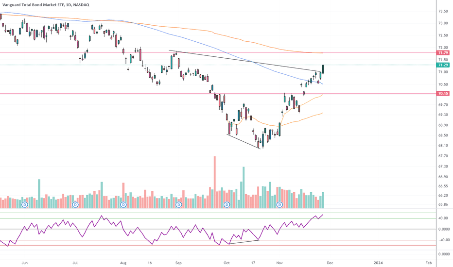 vanguard total bond market etf