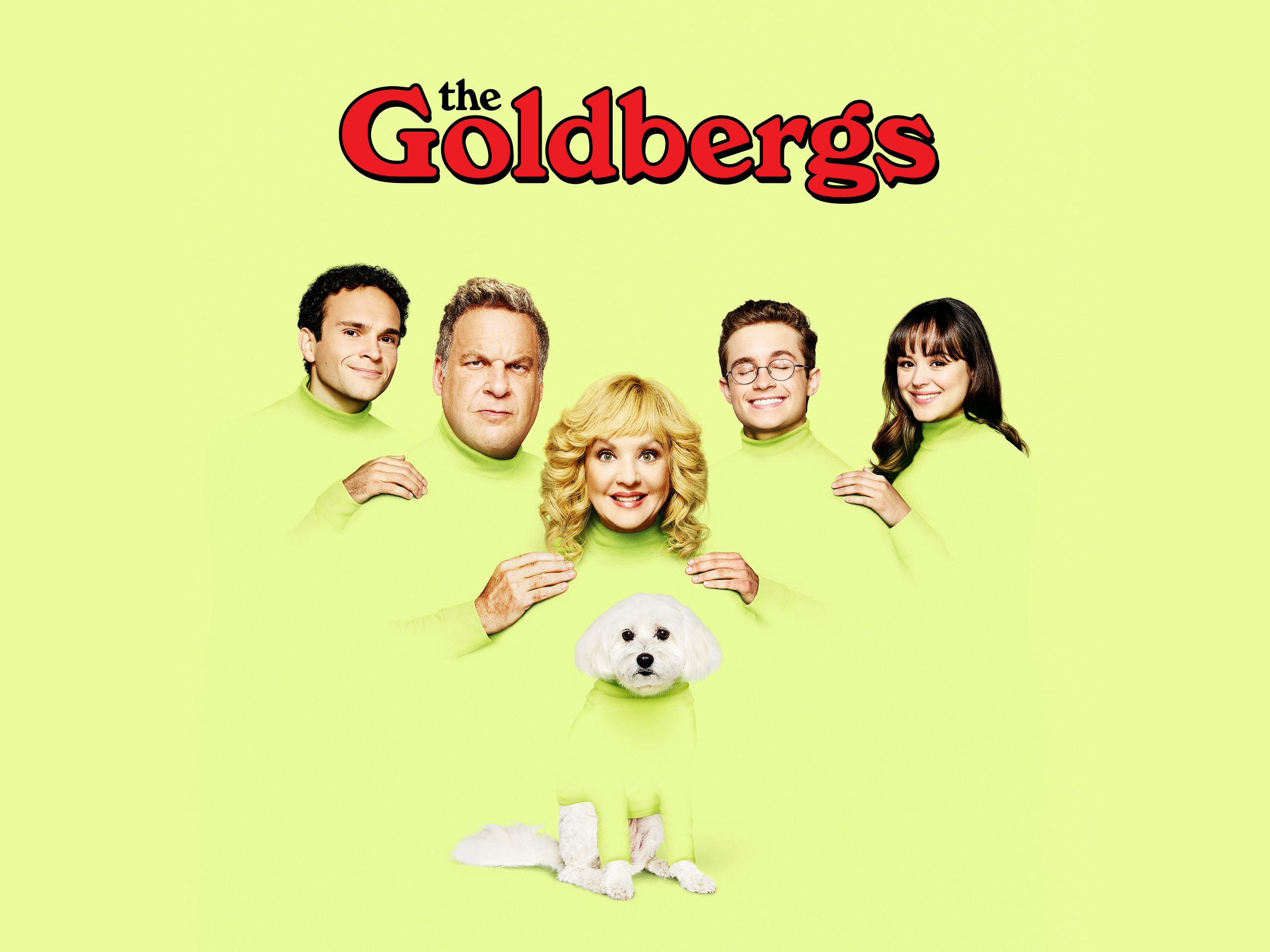 ver the goldbergs online