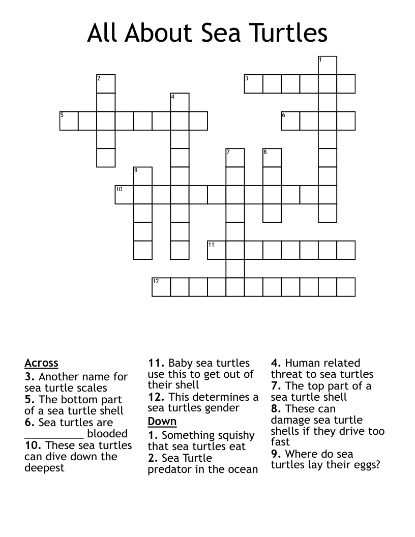 very large turtle crossword clue