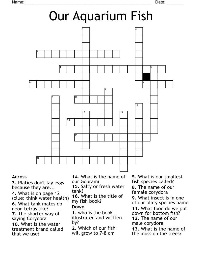 very small fish crossword clue