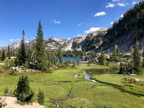 wallowa whitman national forest