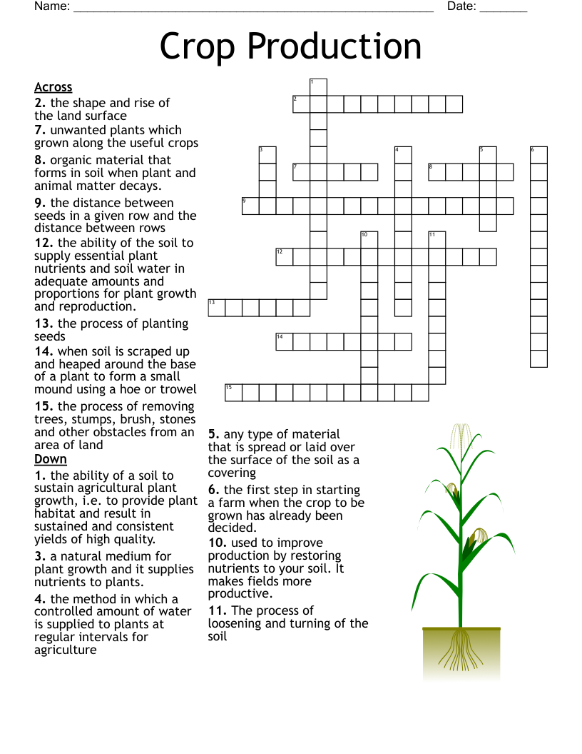 water crops crossword clue
