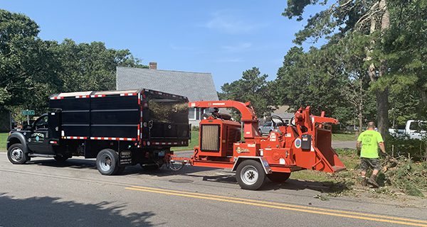 westwood ma dpw