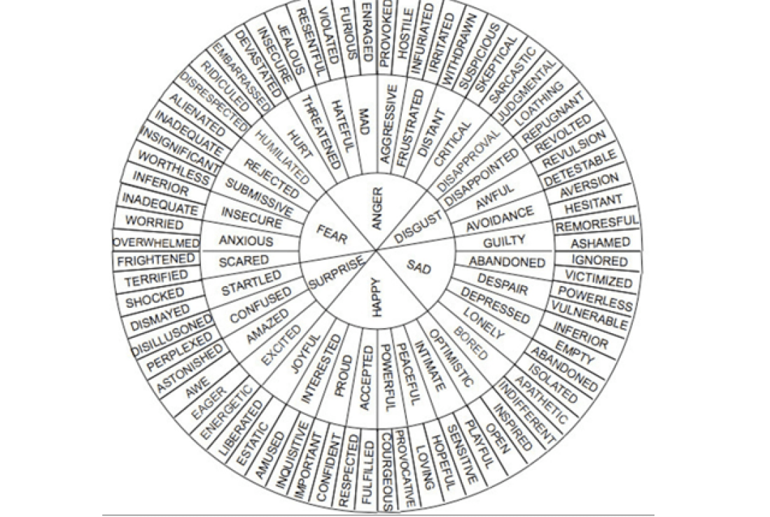 wheel synonym