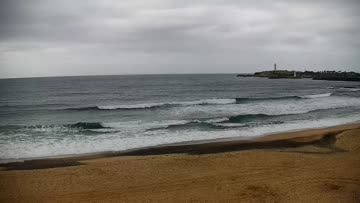 wollongong surf report