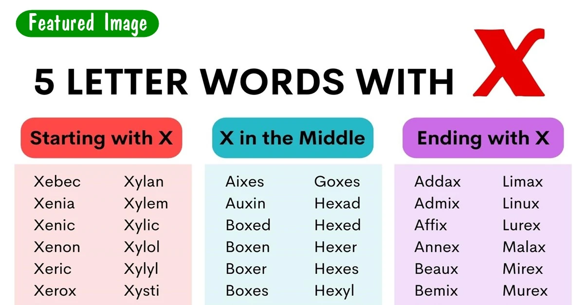 word finder x 5 letters