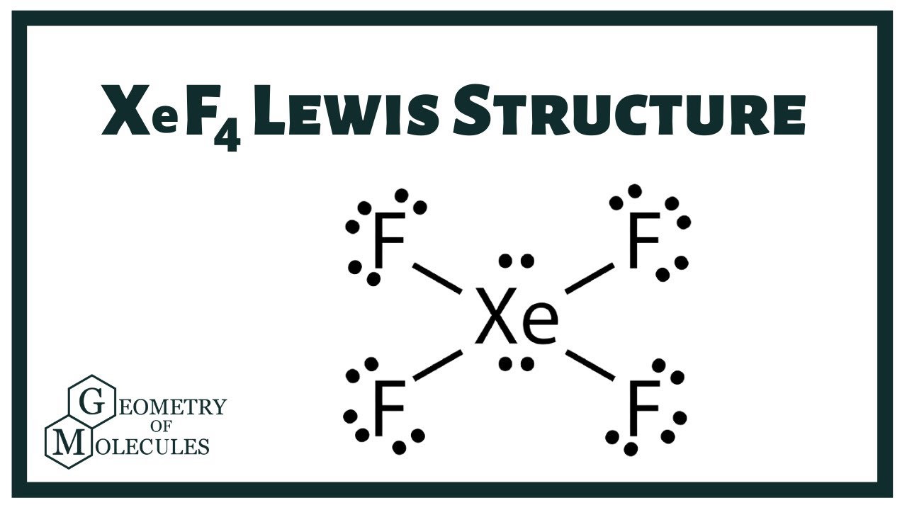 xef4 lewis structure