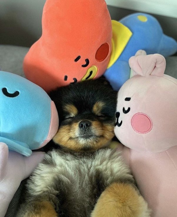 yeontan baby