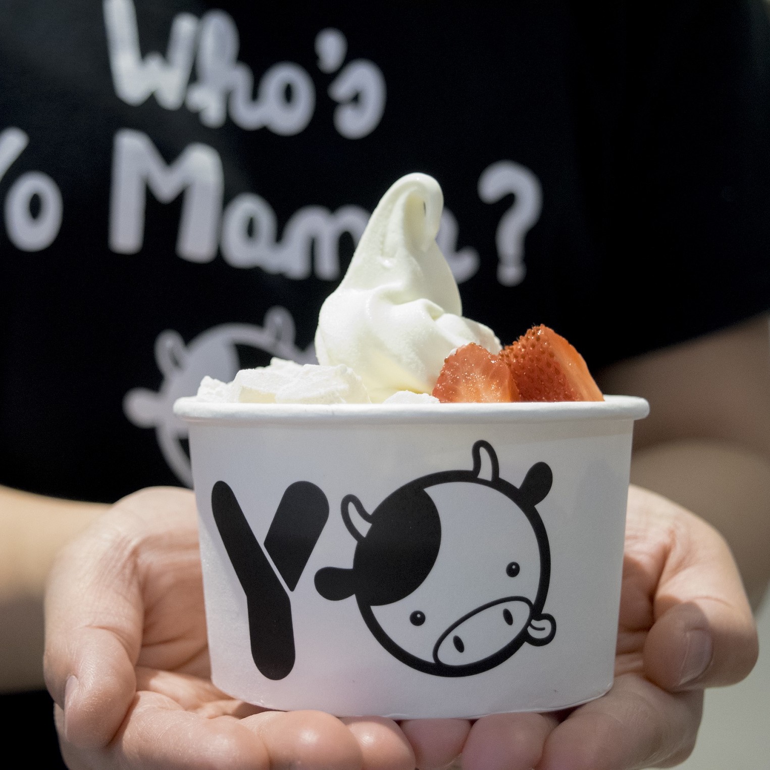 yo mama frozen yoghurt