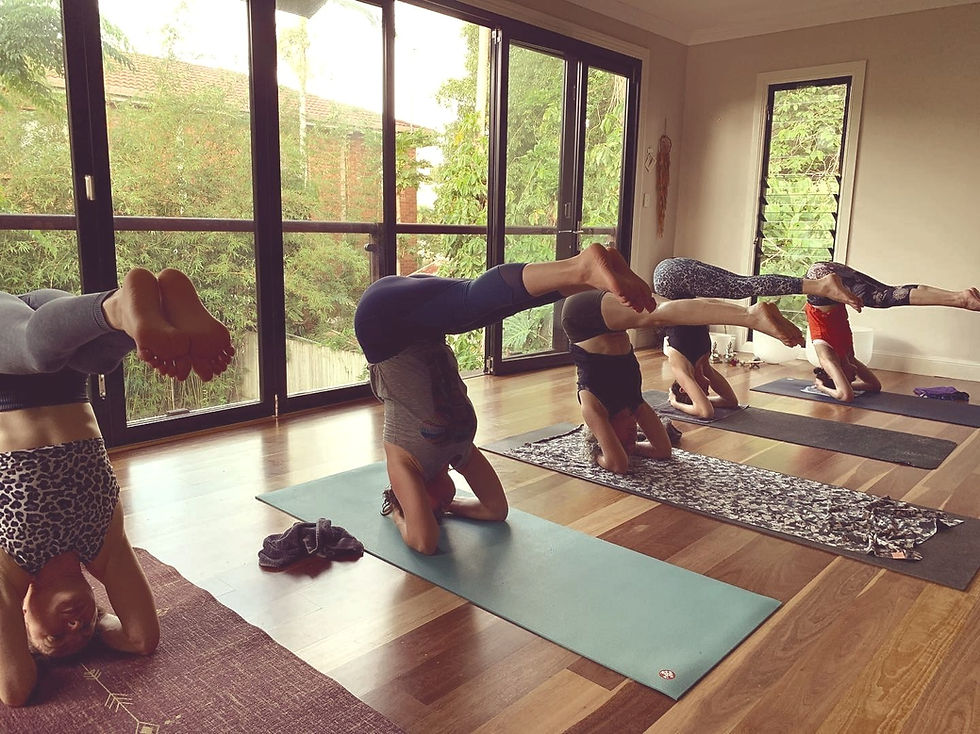 yoga kangaroo point