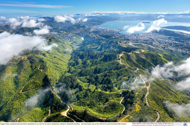 zealandia ecosanctuary